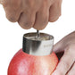 304 Stainless Steel Fruit Corer Apple Corer Home Stew Pear Mold Corer