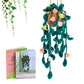 Decorative Plant Crochet Hook Material Package Pendant